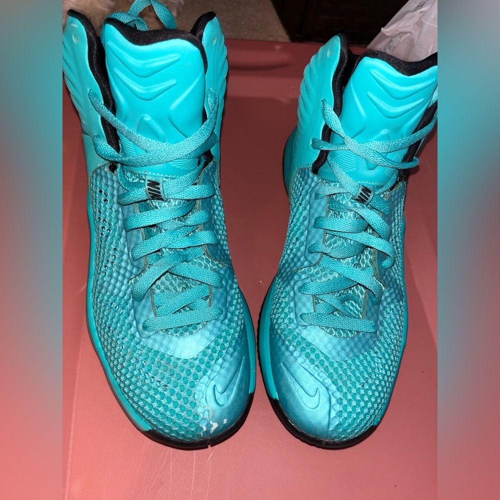Nike hyper dunks